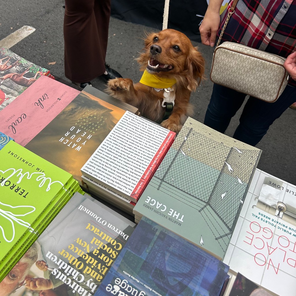 coachhousebooks's tweet photo. We had a great weekend at Toronto Word on the Street 2024 🎉☀️ Thanks to everyone who came out and celebrated reading, writing and literacy with us! 

Comment below what your favorite book purchase was from the weekend, or what you wish you could have grabbed! 😍
@TorontoWOTS https://t.co/xPUcGBpfXf