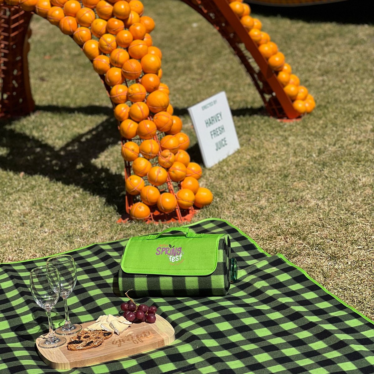 Check out how we helped Griffith NSW elevate their outdoor event - Spring Fest - with our vibrant promotional products. 
#ClientReview #Outdoor