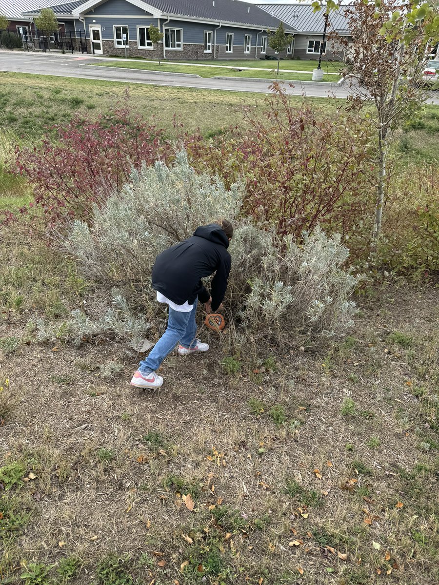 Mme Biem tweet media