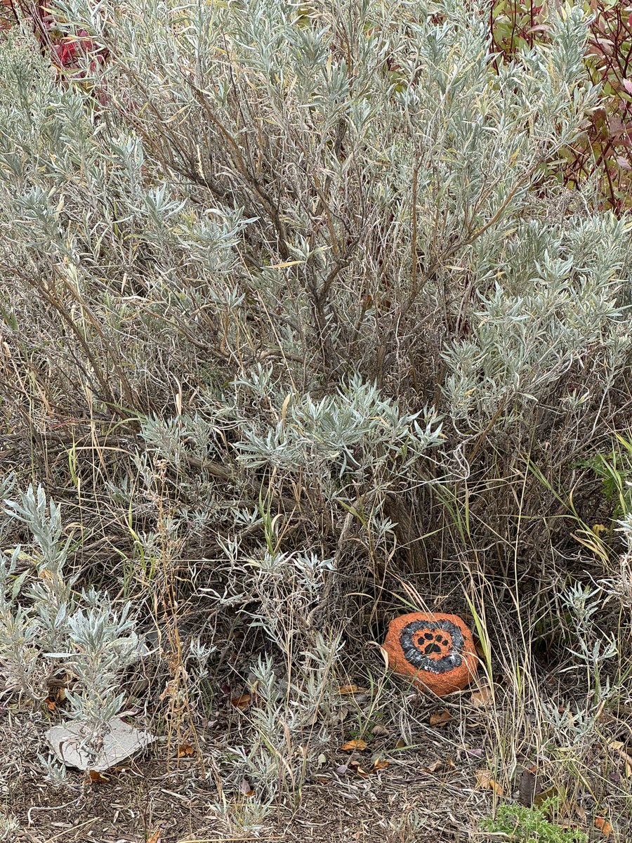 Mme Biem tweet media