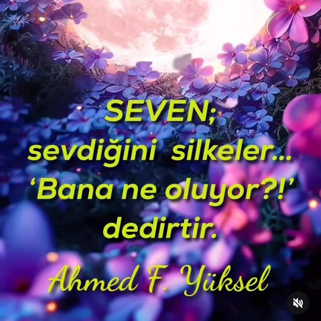 VahdetiVcud's tweet photo. #seven #silkeler #sevilen #uyarmak
#bananeoluyor #sananeoluyor ⁉️
#ahmedfyuksel @ahmedfyuksel https://t.co/5V9WN8ZFjQ