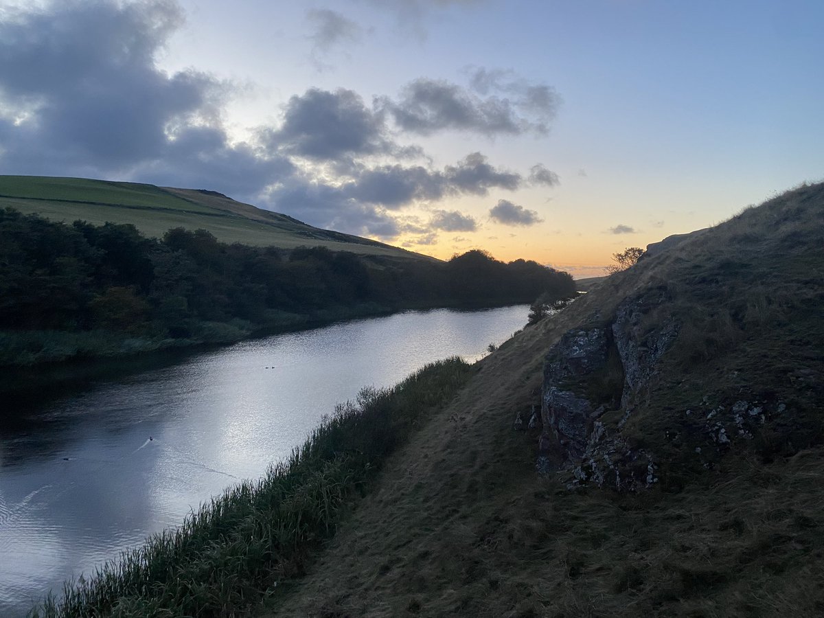 patricksafford_'s tweet photo. Of all the 2nd-for-county skulky warblers you could find in October in easterlies, Cetti’s Warbler wouldn’t be the first to come to mind - but that’s what appeared at St Abbs today! Wonder how long til they’ll be breeding here… https://t.co/lEd7IW988y