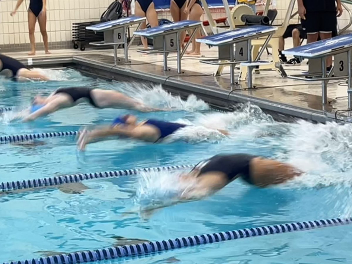 Wheeling Wildcats Athletics and Activities tweet media