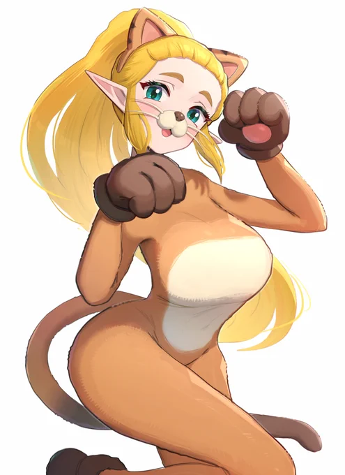 ネコの服ゼルダ 