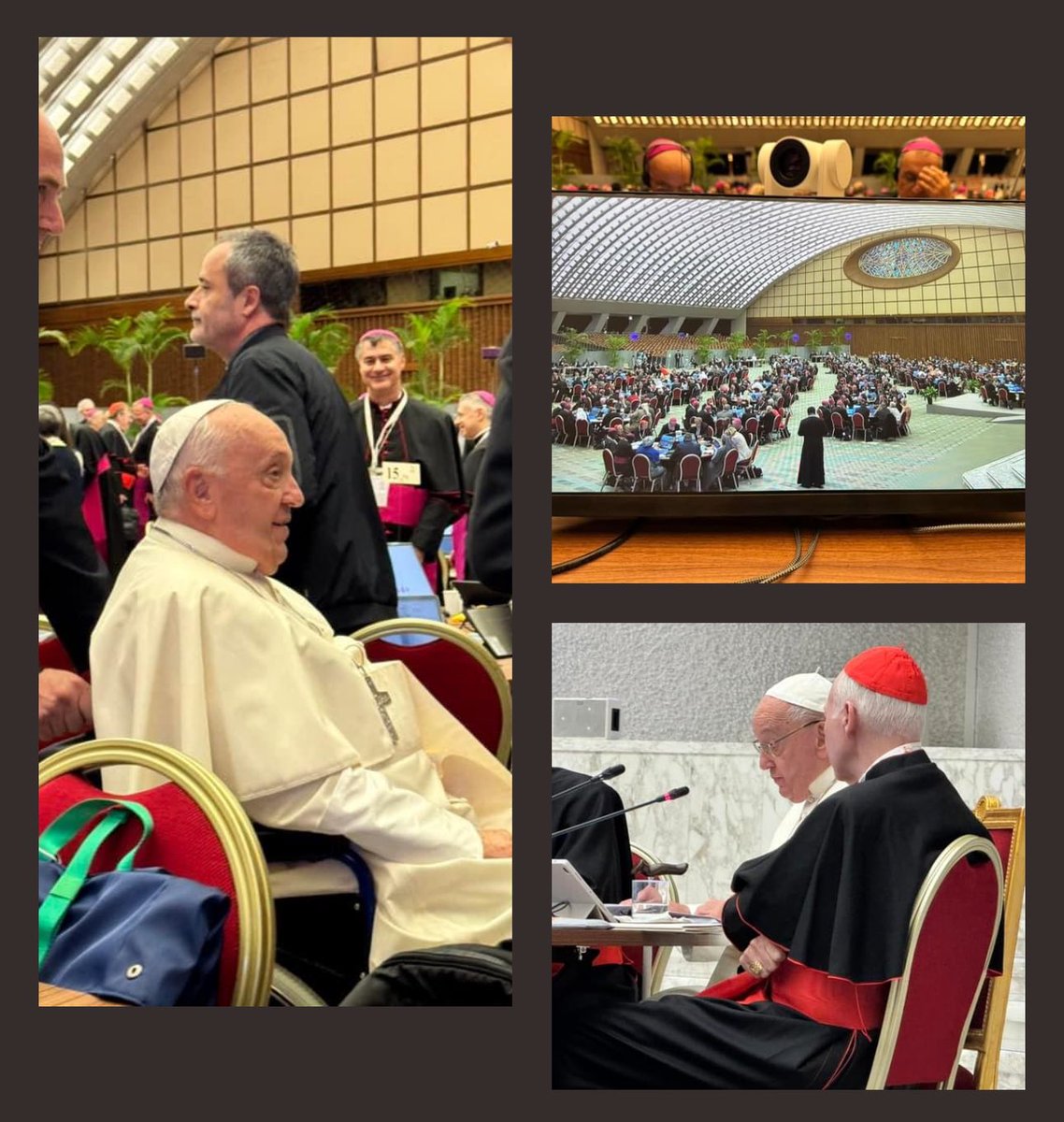 El Sínodo es un sujeto plural y sinfónico capaz de sostener el camino y la misión de la Iglesia.