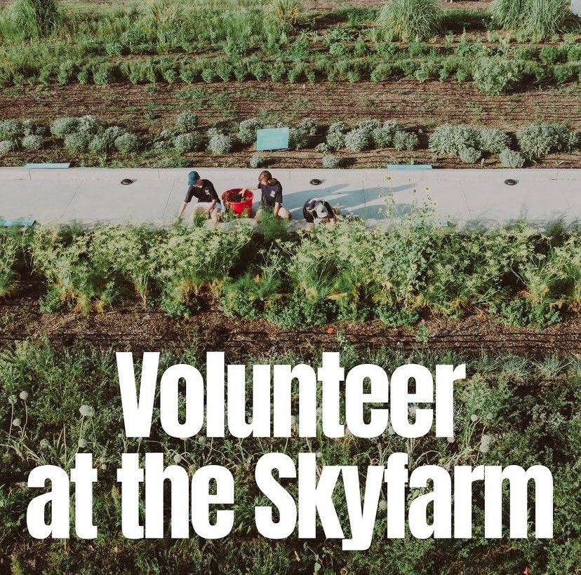 POST Houston tweet media