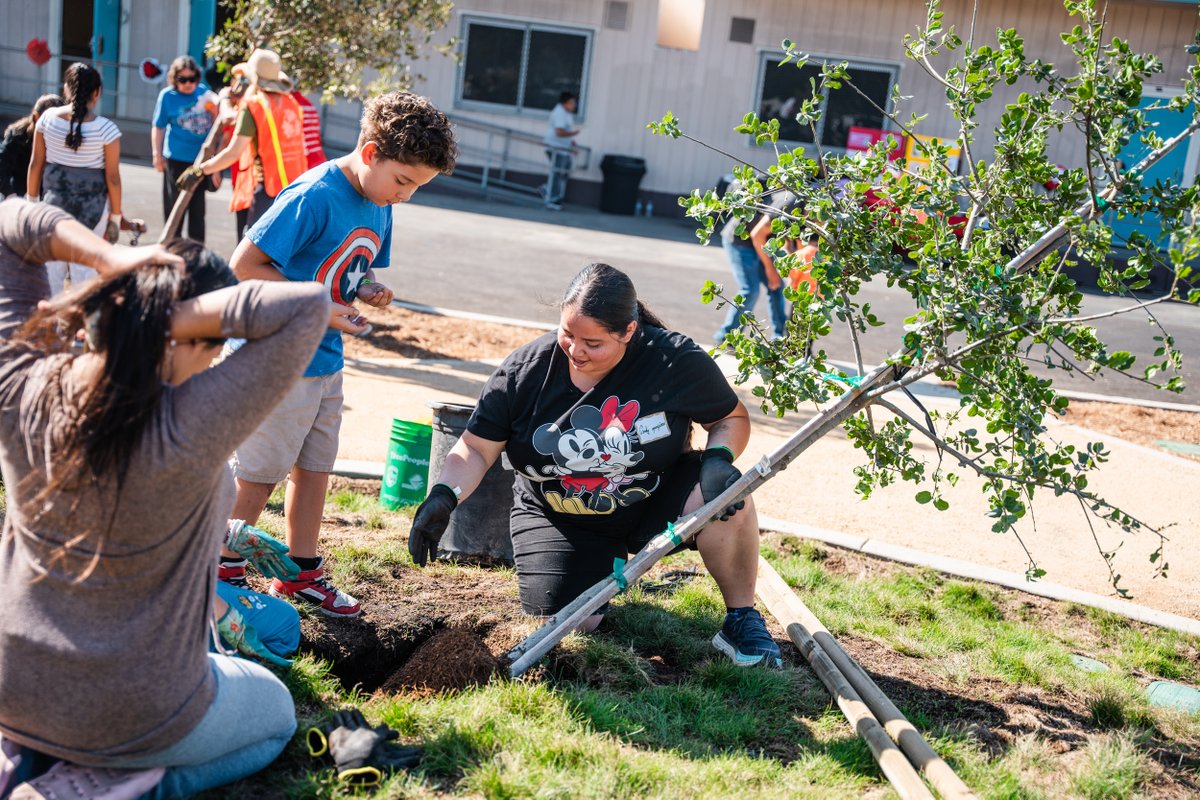 TreePeople_org's tweet photo. This weekend, we celebrated the opening of Pacoima Middle School's new living schoolyard! 💚
14,000+ sq ft of hot asphalt were replaced by this shade garden, which will be a cooling respite in a changing climate. Vote YES on #MeasureUS & #Prop2 so we can keep greening schools! https://t.co/SWdfKsFWPY