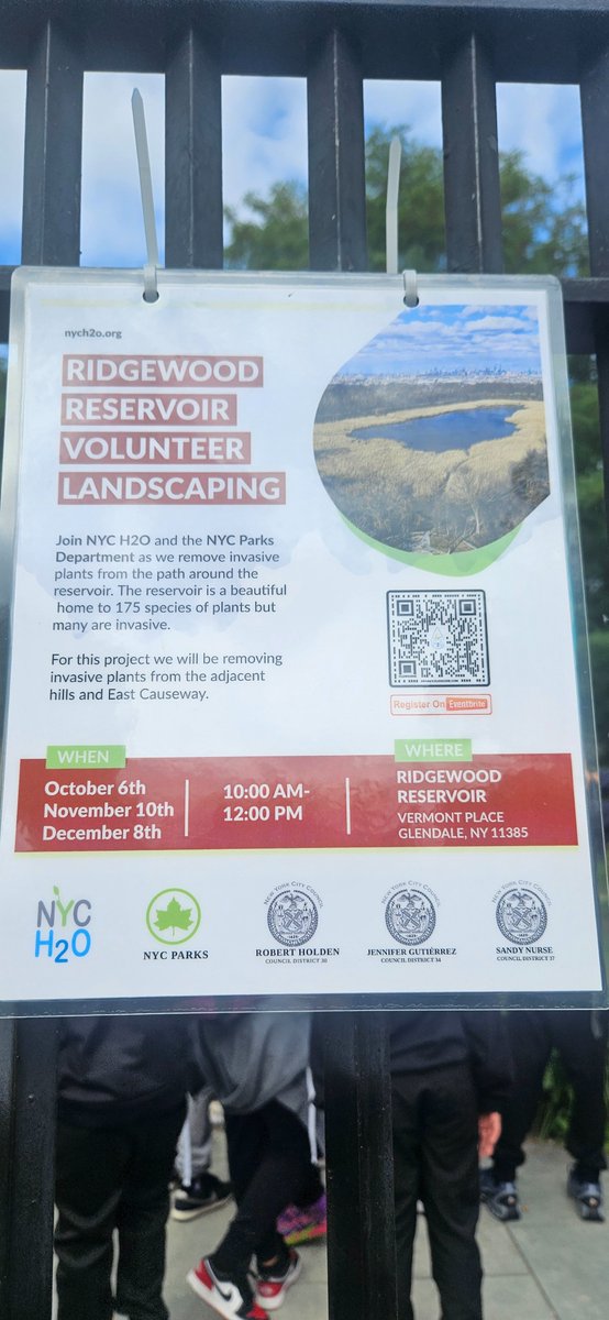 JHS 291 Hawks- Roland Hayes tweet media