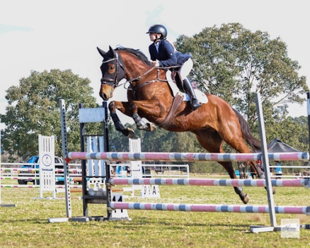 WyongRaceClub's tweet photo. Mia Kehoe competes for #teamyong at @Equimillion_ in jumping & eventing disciplines on Lord Heron, a 10yo gelding who claimed $160,975k - 6 wins from 34 starts. She is a gifted rider who competed in 75-85cm & 85-95cm jumping events at Stonewall & Denman, co-sponsored by Kehoe https://t.co/ieg4Bivfve