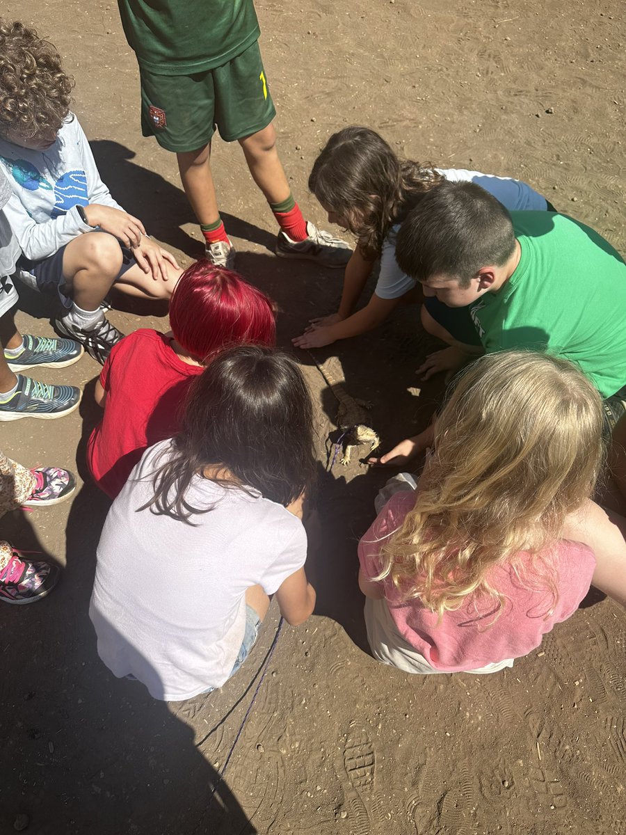 Robin Beasley, M.S., NBCT tweet media