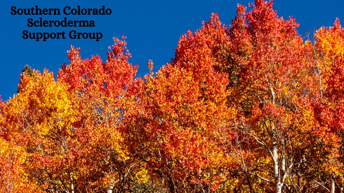 SclerodermaCO's tweet image. Southern Colorado Support Group 
Sunday, October 6, 2024, 3:00 p.m. MDT
For the Zoom meeting registration link, contact rmchapter@scleroderma.org #Scleroderma #sclerodermasupport