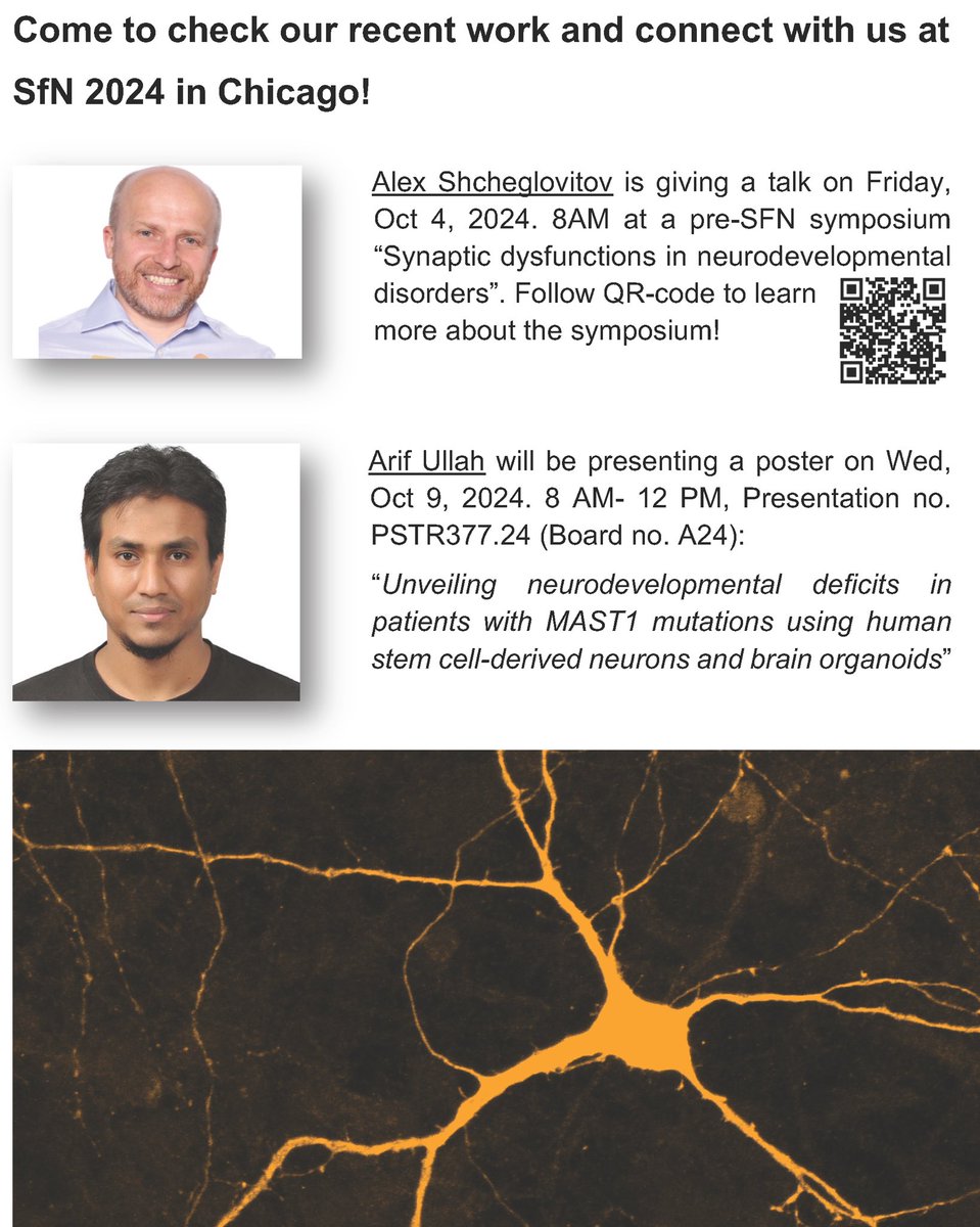 shcheglovitov's tweet image. Join us at #SfN2024 in Chicago to check out our latest work!
🗣️ @AlexShcheglovit will be speaking Friday, 8 AM at the pre-SfN symposium 'Synaptic Dysfunctions in NDD’
📊 @arif55dml is presenting his poster on Wed, Oct 9, 8 AM-12 PM, Poster no. PSTR377.24 (Board no. A24)