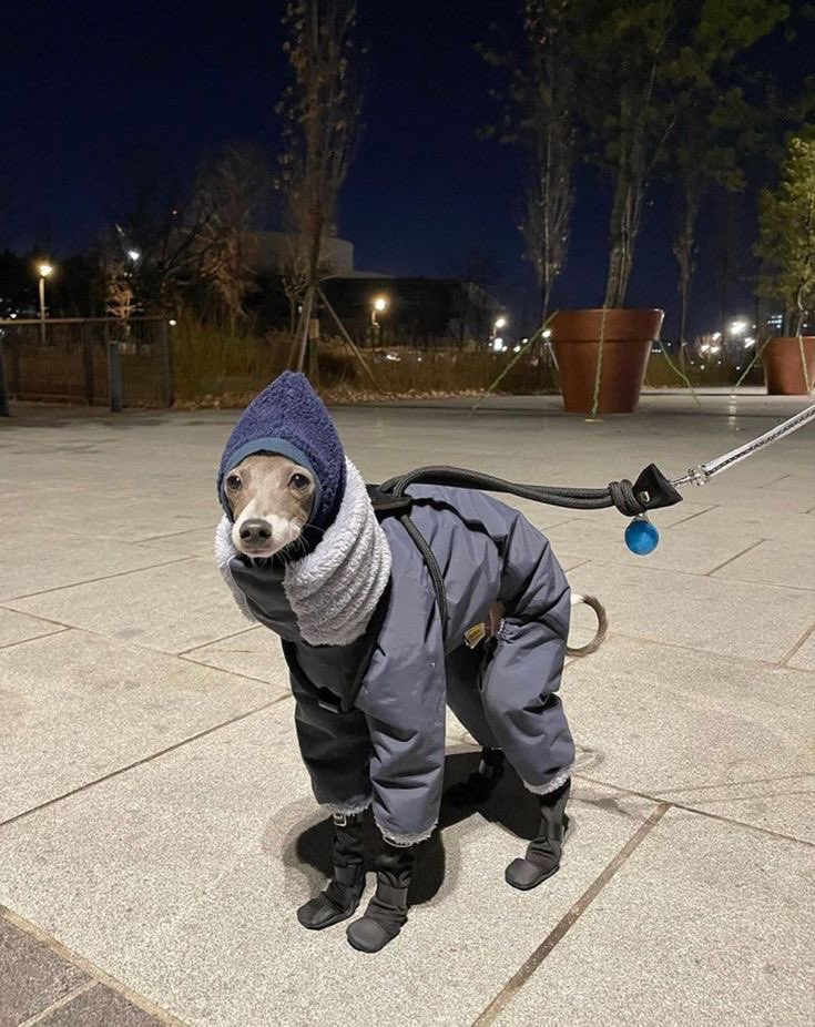 ㅤ