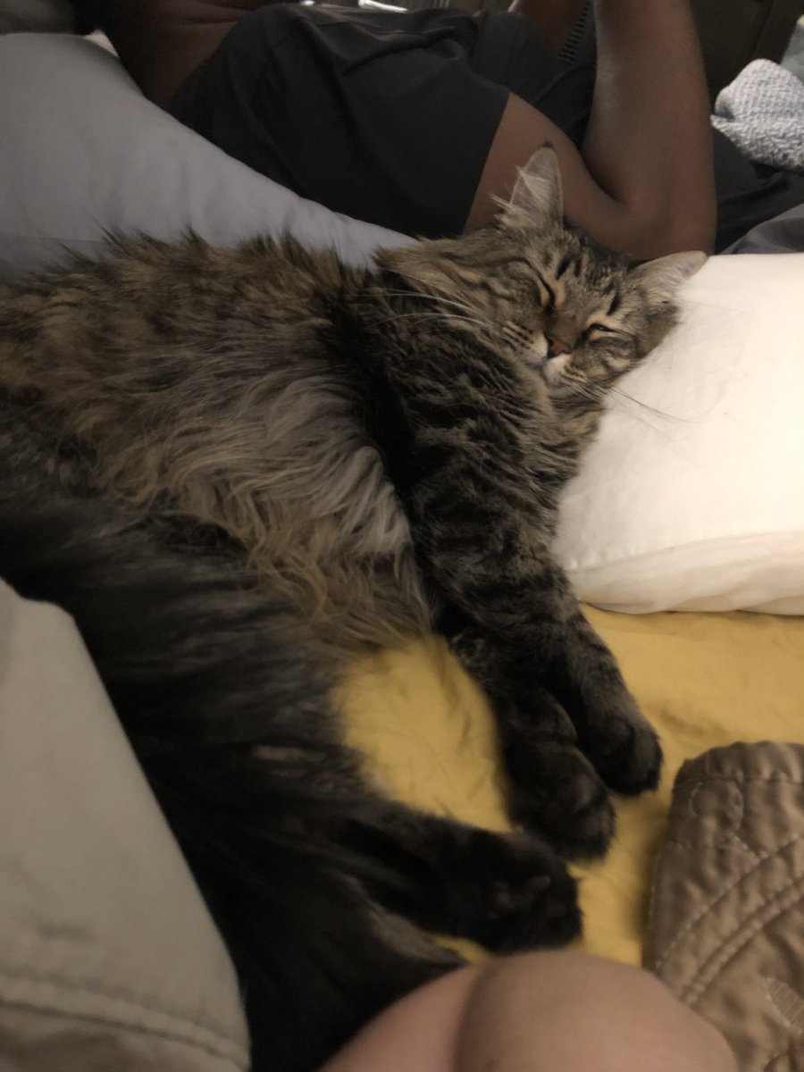 No need to worry about remembering to leave room for Jesus. River ensures there is a safety barrier between myself and my husband at all times.