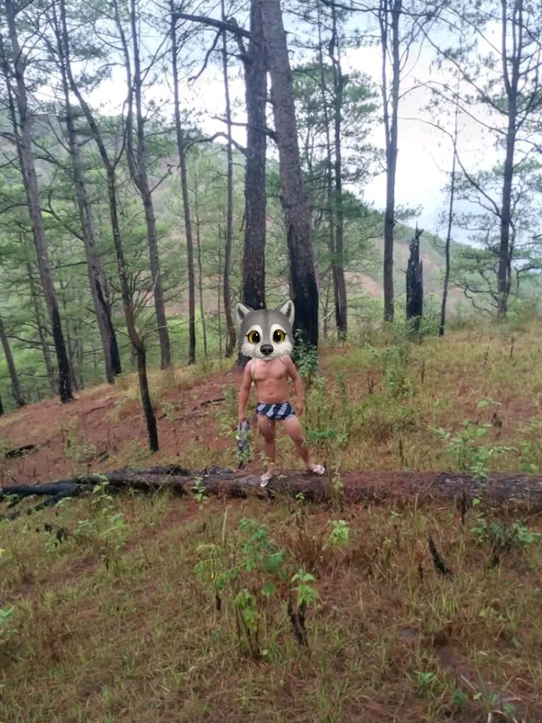 Jaksigor0000's tweet photo. Paranas ng mabayadan ππ€£
#alterigo
#alterbaguio
#alterbenguet https://t.co/OwbhJIm30h