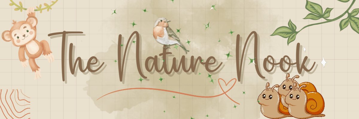 ㅤㅤㅤㅤㅤㅤ
ㅤㅤㅤㅤㅤㅤㅤ
    ㅤㅤㅤㅤㅤㅤㅤદᵕ̈૩ 𝗖𝗛𝗔𝗣𝗧𝗘𝗥 𝗜𝗜 ⚘
ㅤㅤ