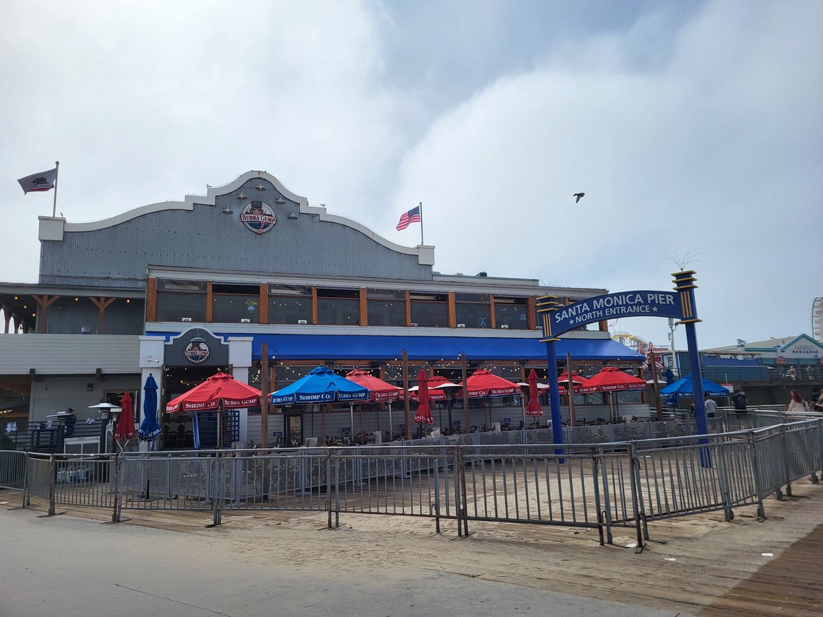 Thali 💚💥ᐰ tweet media