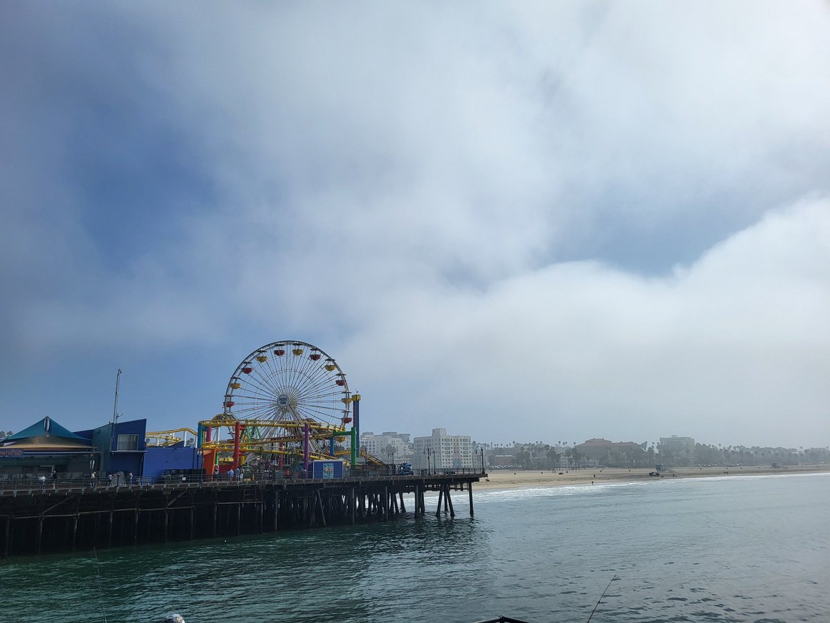 Thali 💚💥ᐰ tweet media