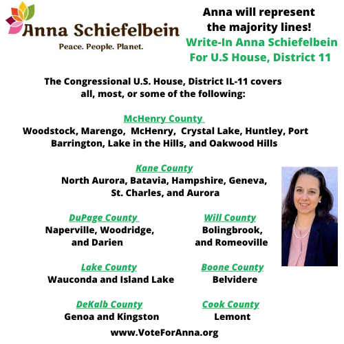 Anna Schiefelbein (@annaforillinois) on Twitter photo 