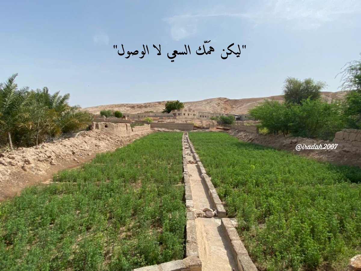 “أقول في نفسي كل صباح: إن السقوط أولى مراحل الصعود؛ لأنه لا يسقط إلا من يرتفع، ولا يتعثر إلا من يستمر في المسير. ما أتعس الواقفين في أماكنهم! لا يدركون جمال المنظر من الأعلى، ولا يستنشقون أكسجين الحياة المبعثر على جانبَي الطريق. 
الواقف في مكانه ميّت مع وقف التنفيذ".

صباحكم #سعي