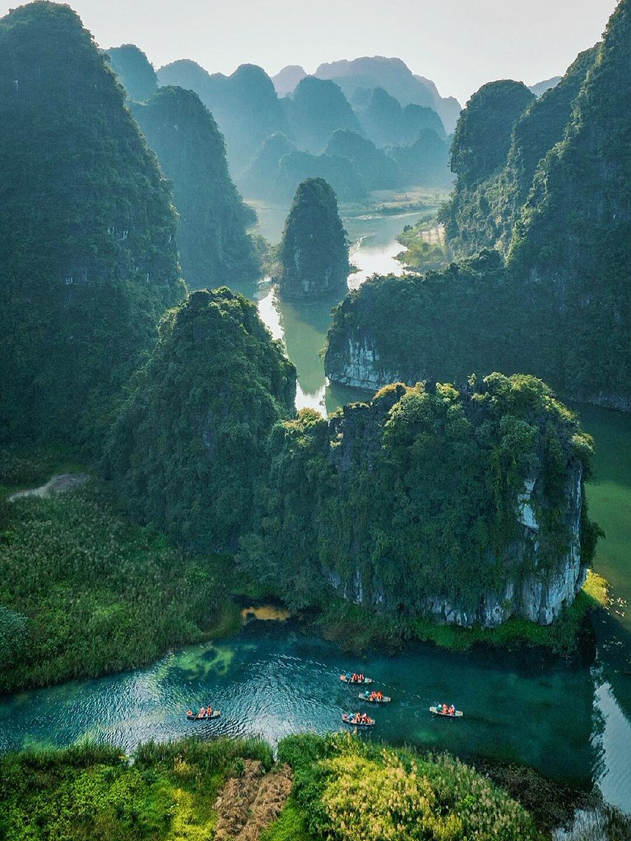 花间晚风 tweet media