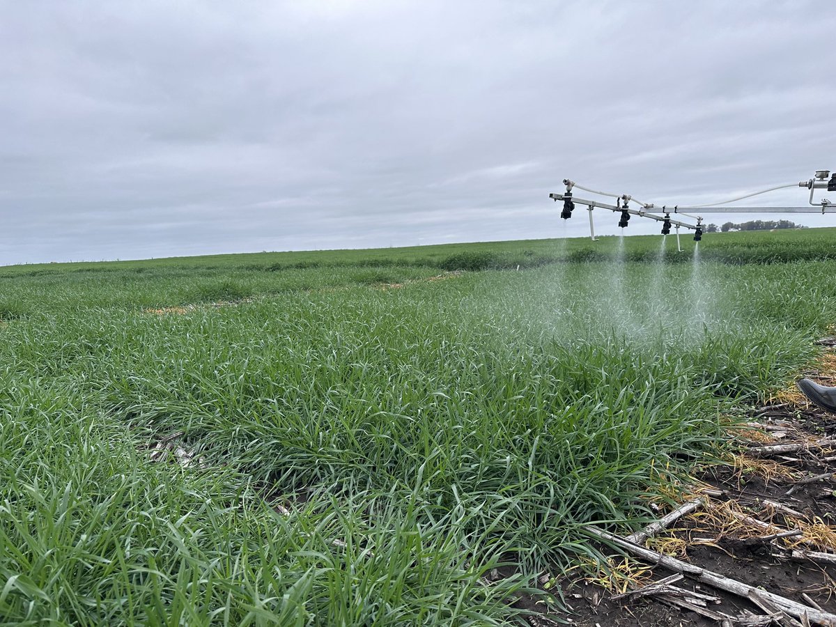 Damian Gopar tweet media