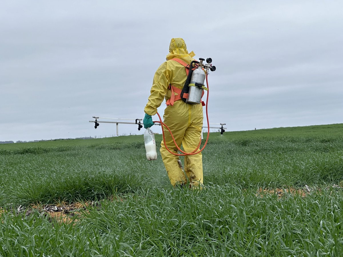 Damian Gopar tweet media