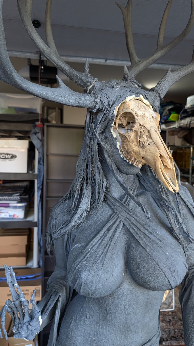 Stephen Kick tweet media