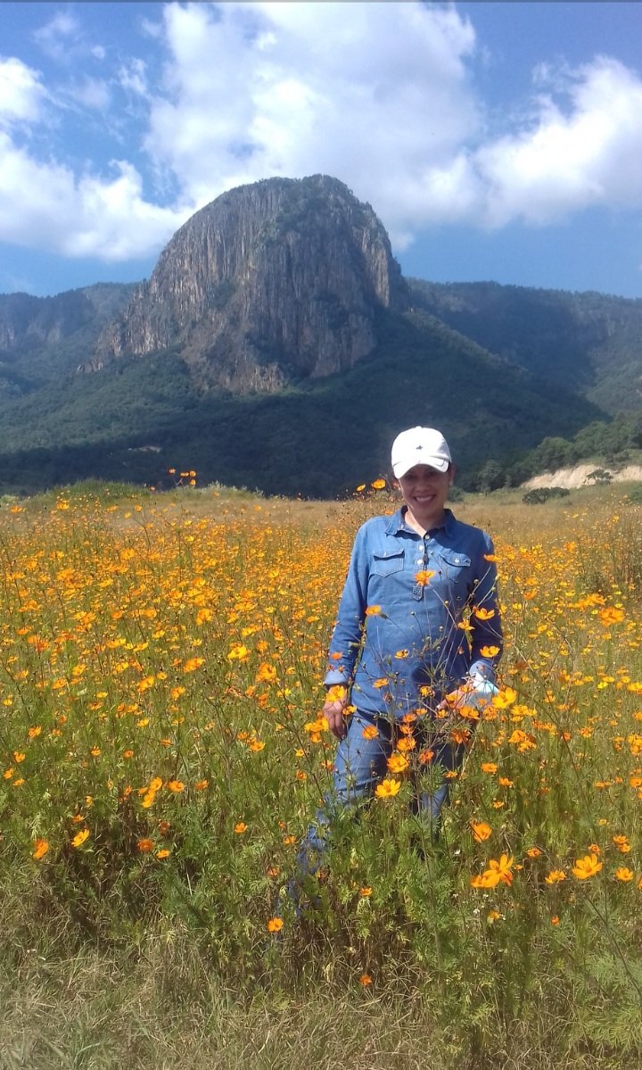 salinas_azalea's tweet image. Es tiempo de cambiar la foto de perfil
#ElPeñon
#Temascaltepec
#Otoño