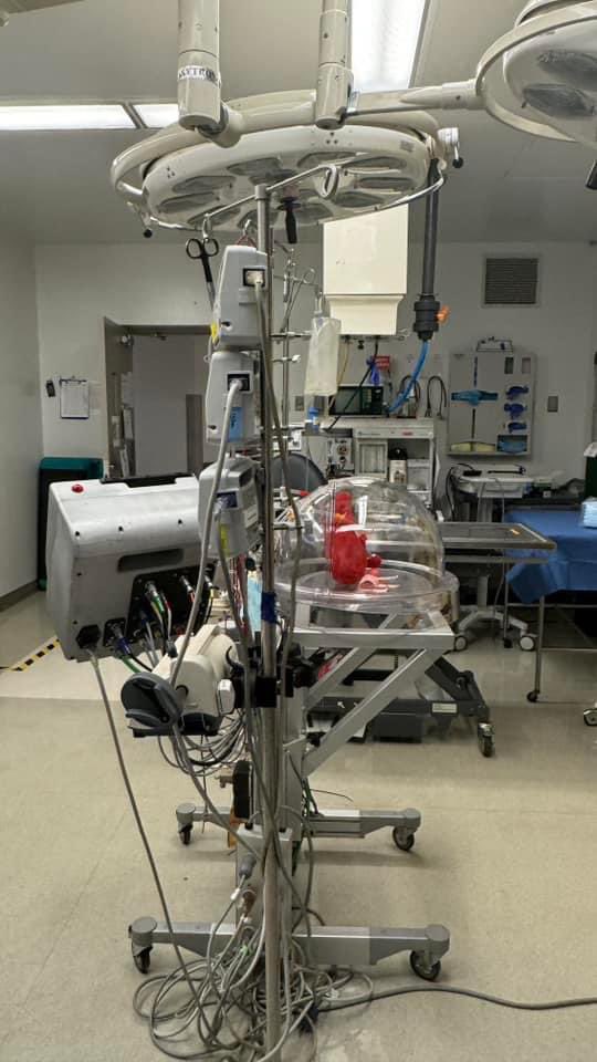 M Velia Antonini (@foamecmo) on Twitter photo π¬Inspiring morning visit to #ECLS Research Lab at <a href="/umichmedicine/">Michigan Medicine</a> <a href="/UMich/">University of Michigan</a> in Ann Arbor!
"Ten years from now grateful patients will be alive because of the research we are doing. They won't know how or why it happened without complications... but you will." Robert Bartlett, MD π¬Inspiring morning visit to #ECLS Research Lab at <a href="/umichmedicine/">Michigan Medicine</a> <a href="/UMich/">University of Michigan</a> in Ann Arbor!
"Ten years from now grateful patients will be alive because of the research we are doing. They won't know how or why it happened without complications... but you will." Robert Bartlett, MD