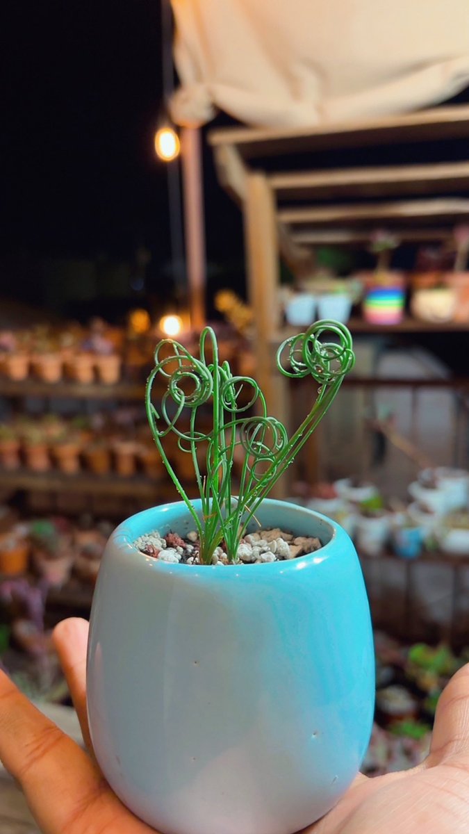 Yo que creía que se había secado 🤯