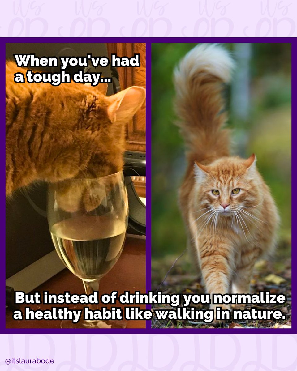 itslaurabode's tweet photo. Struggling with depression &amp; anxiety as an entrepreneur?

Reaching for alcohol after a tough day won’t fix the problem. It might feel like relief, but there's a better way.👇 https://t.co/C7ZEO0hnBJ