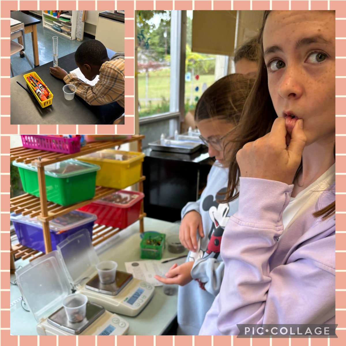 The Califon Public School tweet media