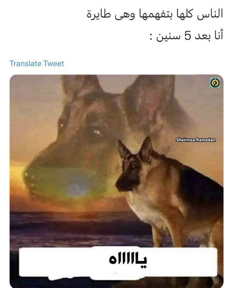 iamdomzi's tweet photo. @M3thbi انت https://t.co/FHDWnPmkmx