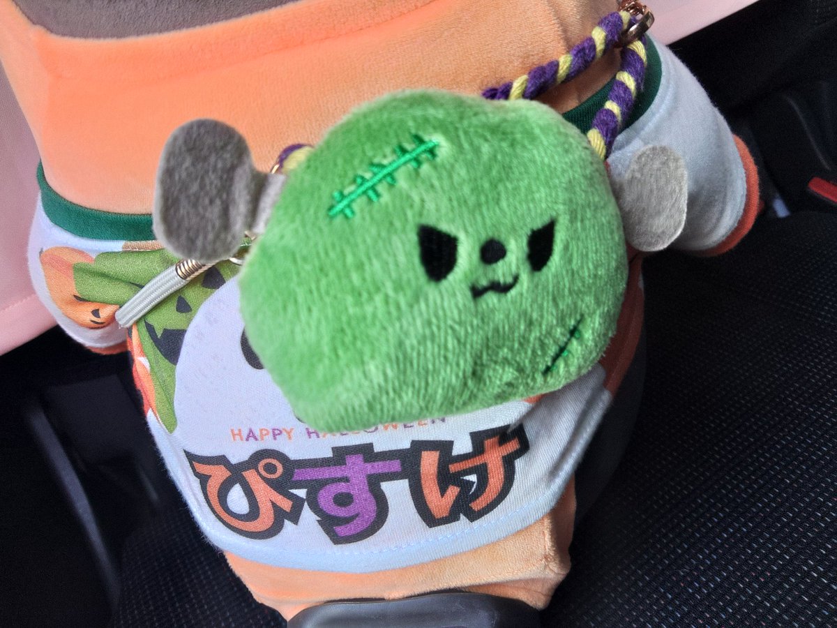 isg_reiko's tweet photo. ぴすけ、今月からハロウィンのお洋服で利用者さんのお宅を訪問しています😊
#アイエスジェム #ISGem
#訪問看護 #訪看リハ
#ハロウィン https://t.co/yKPzLGzXye