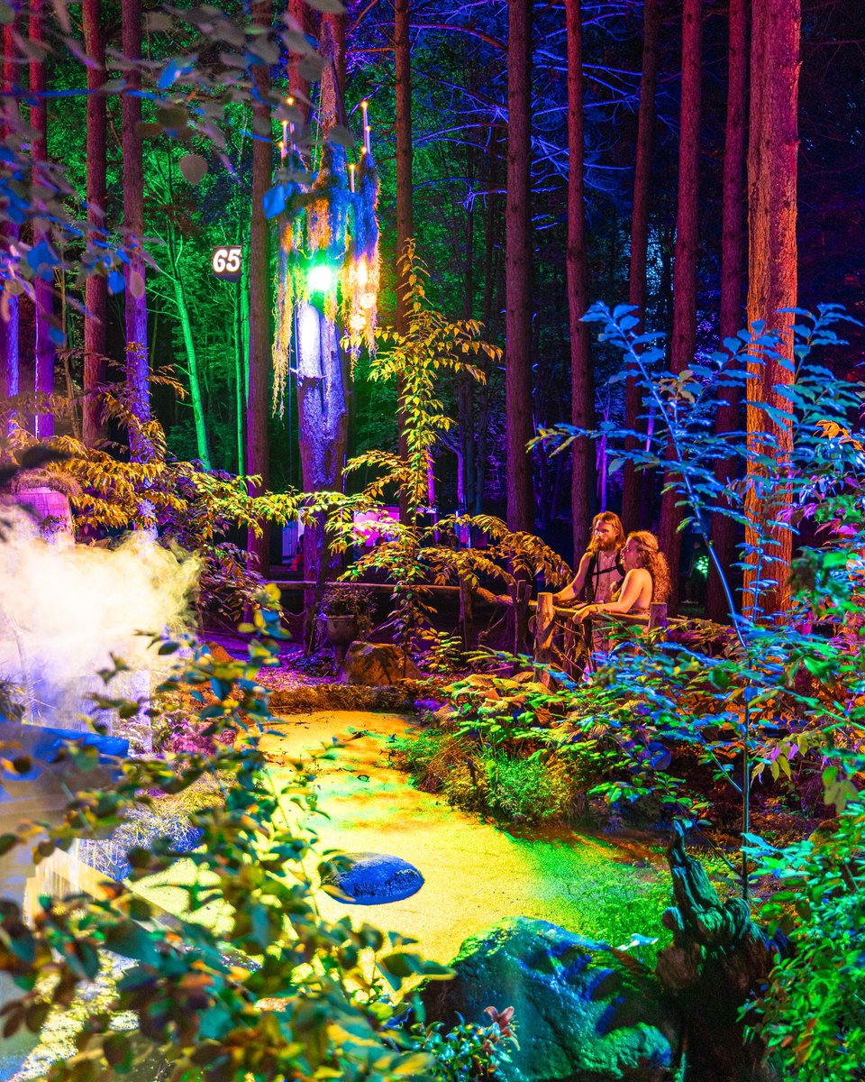 Electric_Forest's tweet photo. A Sherwood Forest shimmer. ✨ https://t.co/DxJXghKMsd