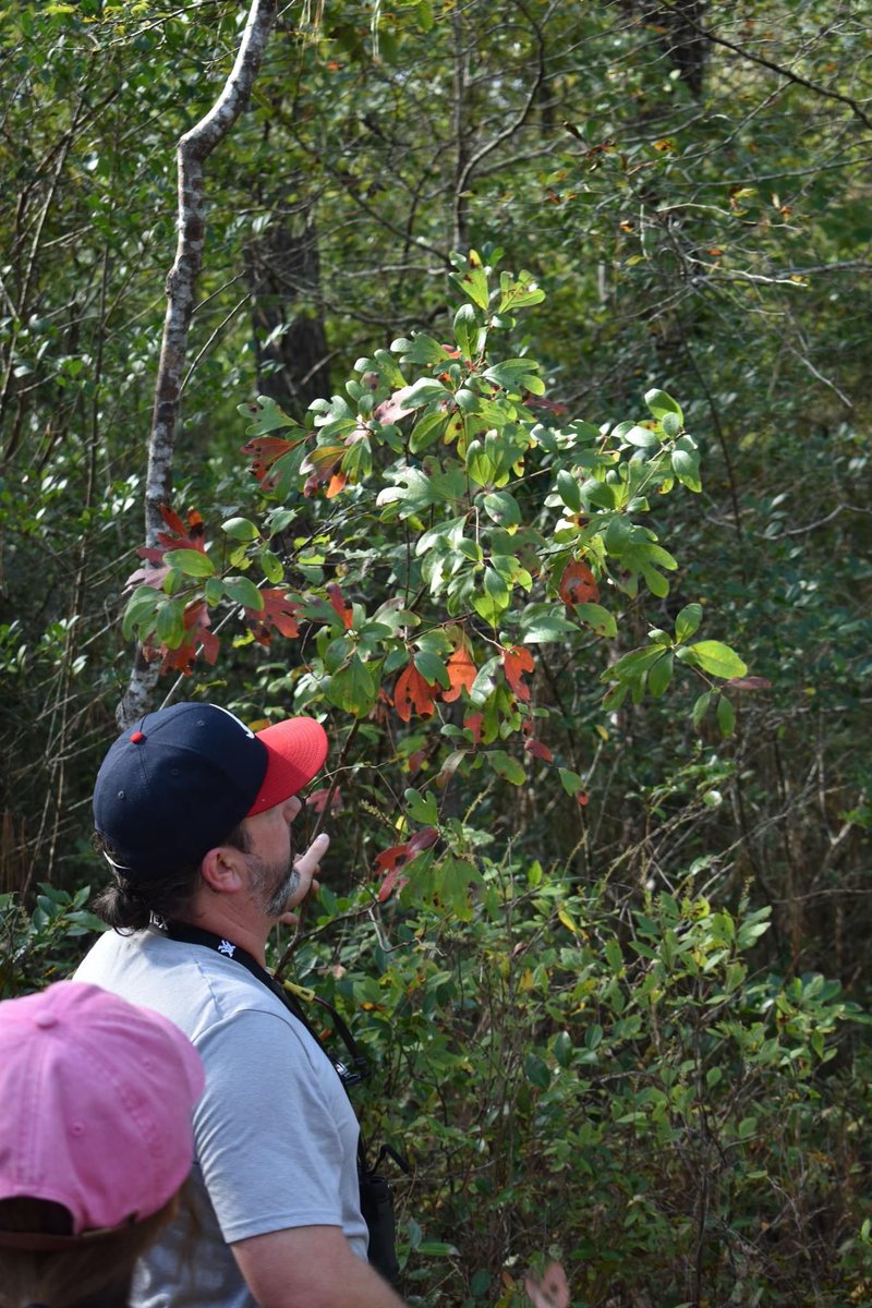 A big thank you to everyone who joined us and the Coastal Conservation League for a wonderful nature walk at the Little Pee Dee Heritage Preserve in Horry County yesterday! 

#conservation #wetlands #preservation #cleanwaterforall <a href="/GDDonnelley/">Gaylord and Dorothy Donnelley Foundation</a> <a href="/scccl/">Coastal Conservation League</a>