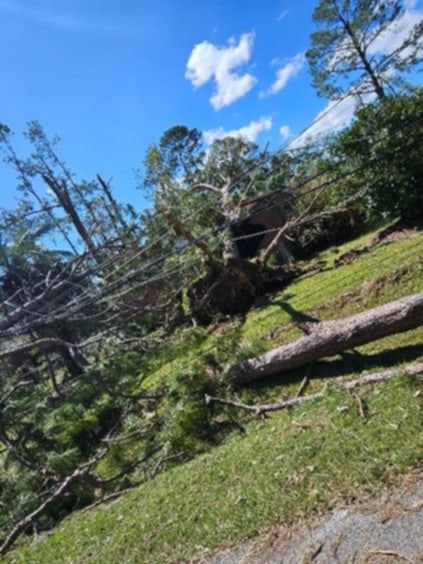 I've been in Southern Georgia for #Helene. The wind and tree damage here is severe and widespread, and it battered an agricultural, impoverished region that's already been hit twice the last year. Many, many people live in remote mobile homes. I have met one person with insurance