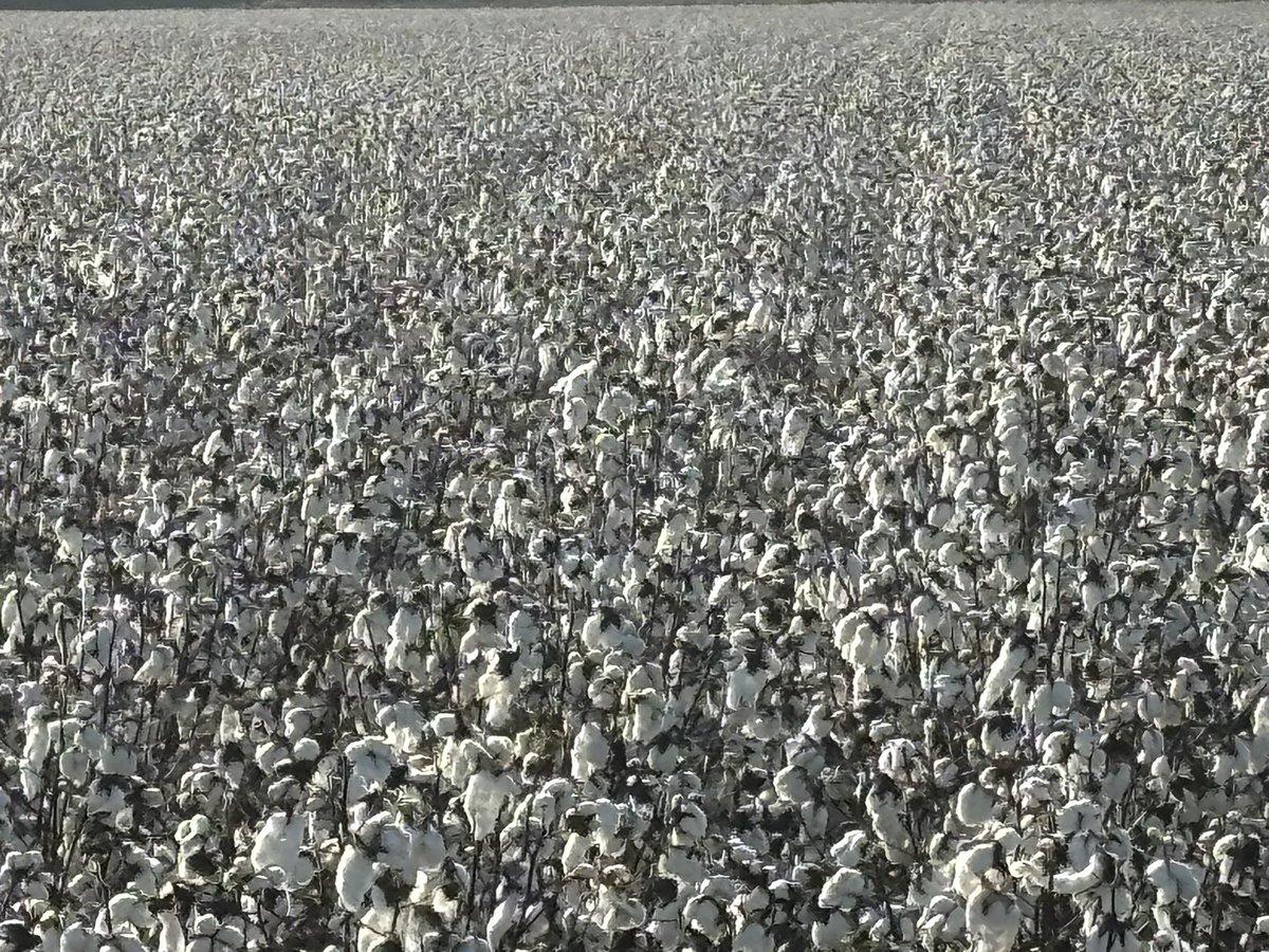 Eddy Cates tweet media