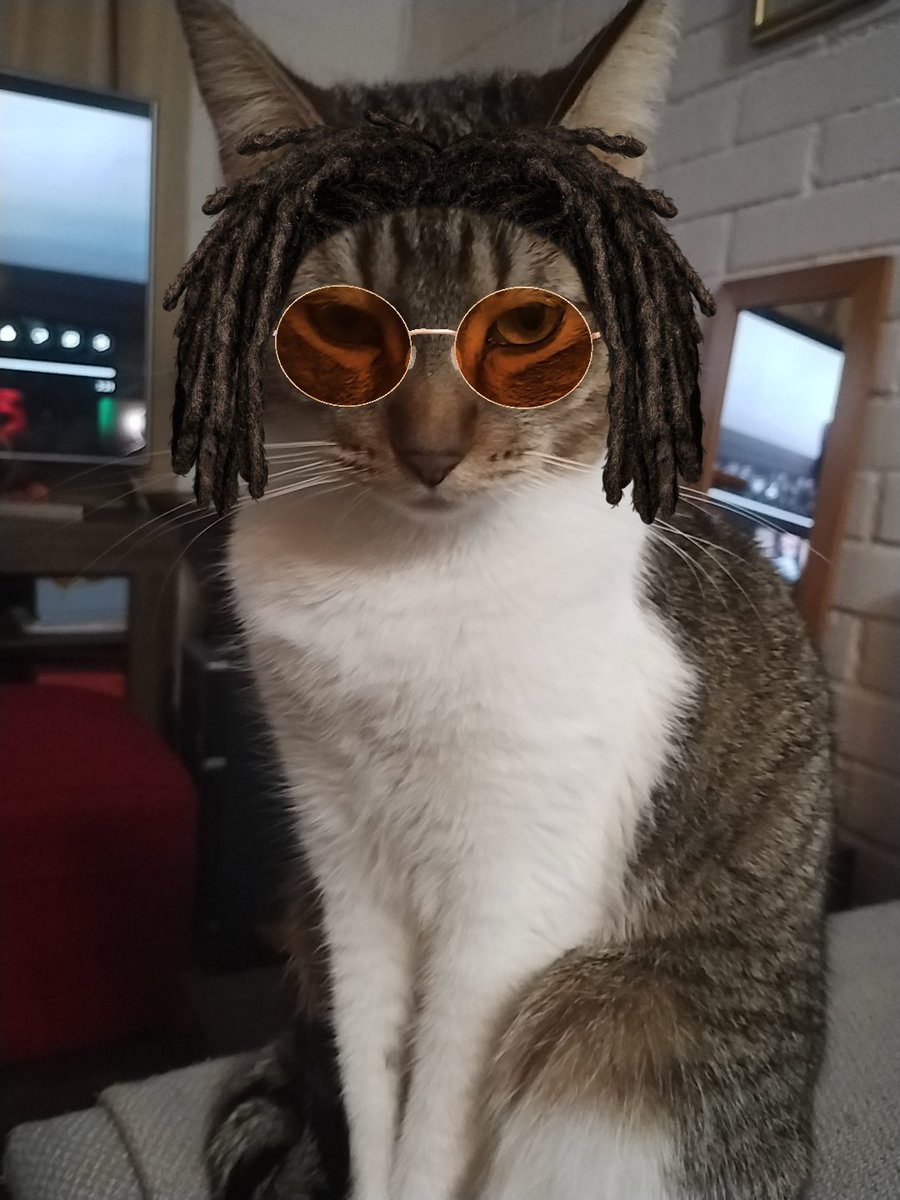 Bearitahae's tweet photo. #Mimascotarata

Se llama Dulce, es la hija de mi gata, justo en esta foto sale precisa con la pose 😂 https://t.co/tAz1DHftj6