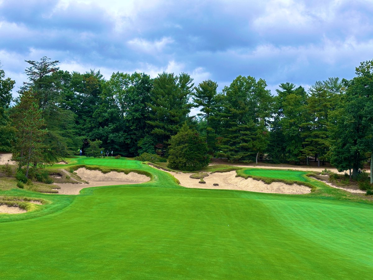 Rick Golfs tweet media