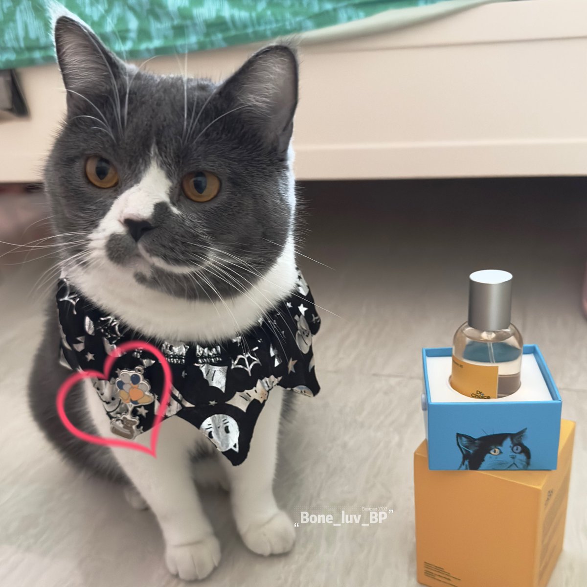 bestpart0703's tweet photo. Trick or treat ! 🎃🍭
Nong Chuanjuan want to with Bounprem and the two little CEOs on 26/10😭

@DrchoicePet 
 #WhereIsSecretCEO 
#drchoice #drchoicepet #perfectchoiceforyourpet
#thegiant_1 #thisispiccolo
#bb0un #prem_space https://t.co/orqZ6K57Dn