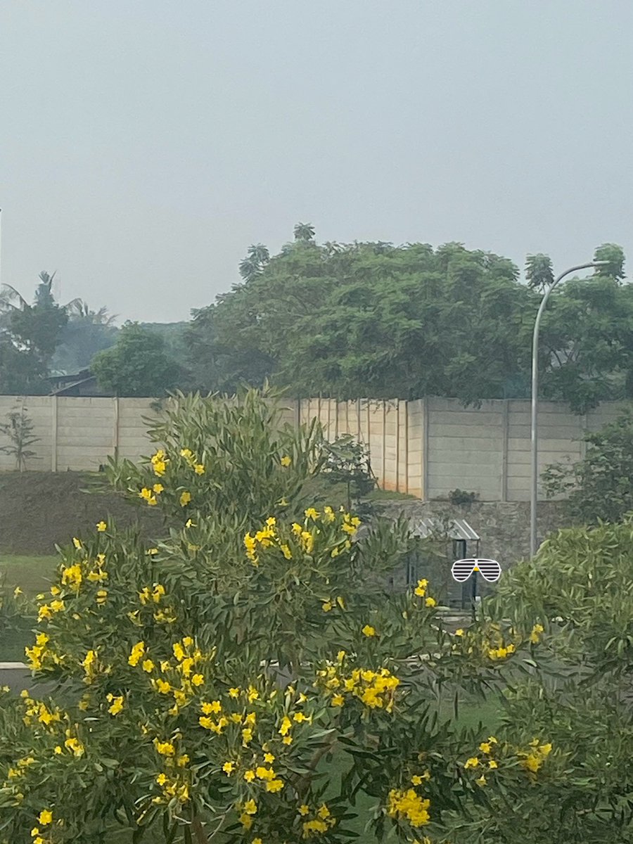 limetogreen's tweet photo. ASTAGA! BISA GA SIH STOP BAKAR SEMBARANGAN? MASIH PAGI INI ASLI… woy @PemKabTangerang ini bs ga sih cepetan ditindaklanjutin? Lama-lama meninggal orang tinggal di sini https://t.co/tmlnozuoxZ