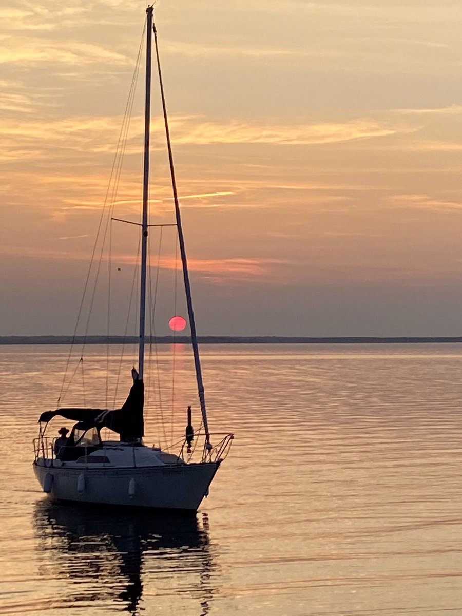 Janet Wilson tweet media