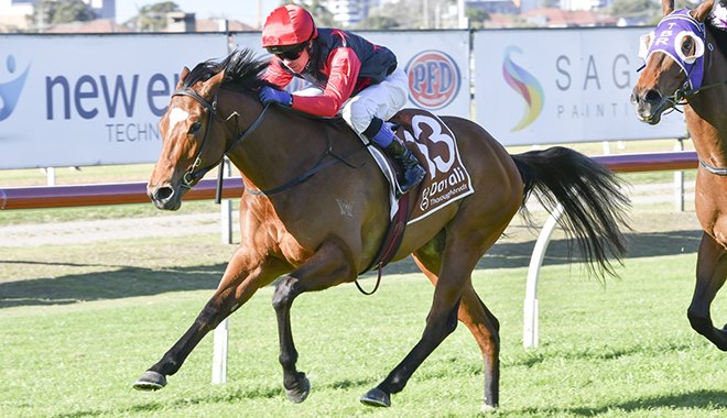 ⭐ <a href="/JohnOSheaRacing/">O'Shea & Charlton Racing</a> joined <a href="/ghall27/">Gareth Hall</a> to provide an update on leading G1 Flight Stakes contender Snow In May 

Listen below 👇

podtrac.com/pts/redirect.m…