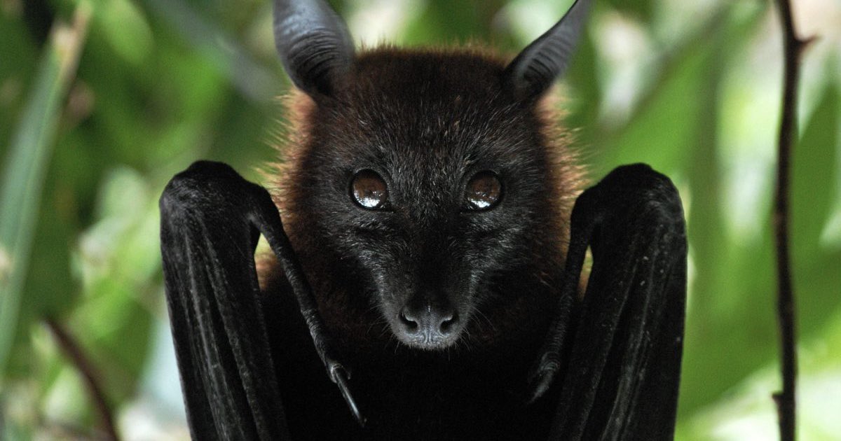 announcement tomorrow 😏