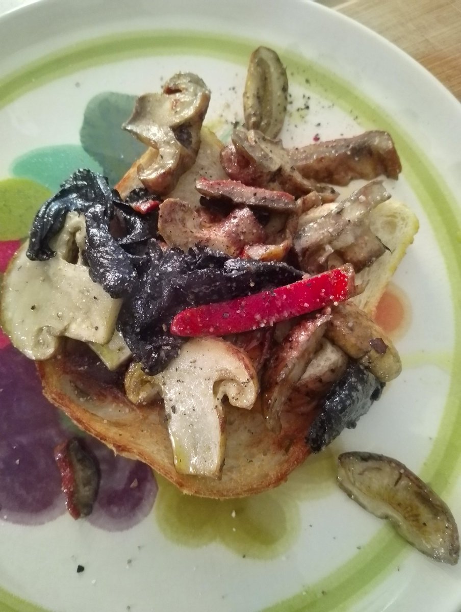 Wild Mushrooms on toast 
Matsutake "Pine Mushroom" Lobster Mushroom and Blue Chanterelles
