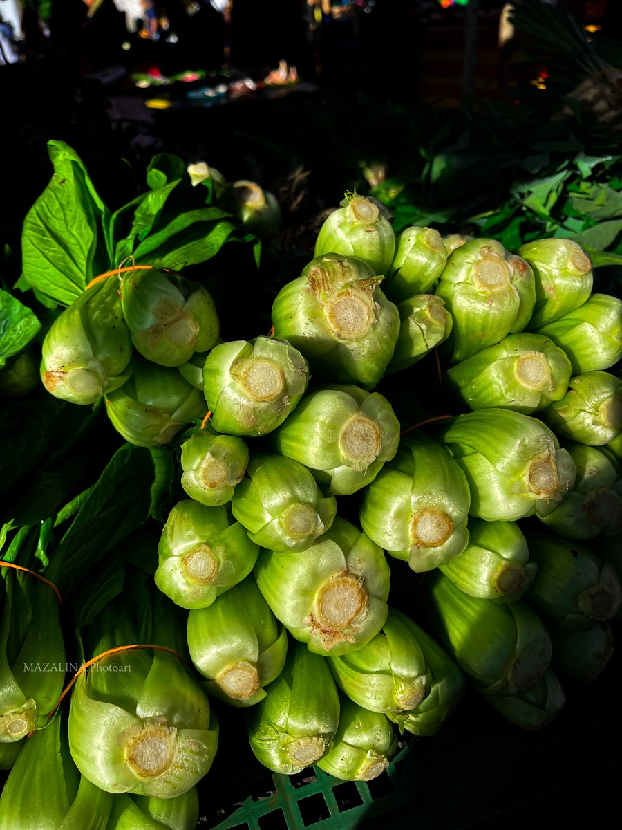 noneetono's tweet photo. Green
(Versi Sayur)

#mazaphotography
#mazaphotowork
#green #streetphotography
#alphaphoenix
#alphaphoenix_green2024 https://t.co/jnUFcU5kMJ