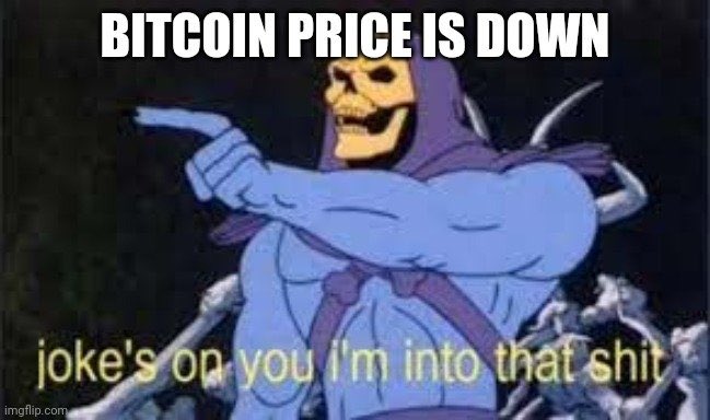 The3rdReginald's tweet image. Bitcoin is down? Dips are for buying and I never miss a good dip. $BTC