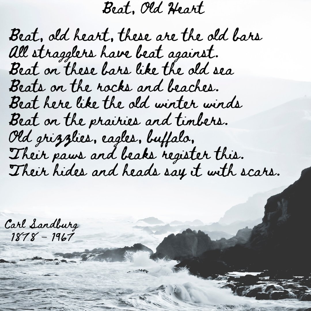 jonmintonbooks's tweet photo. Today is #RandomActsOfPoetryDay. Audre Lorde once said, "Poetry is not only dream and vision; it is the skeleton architecture of our lives." In celebration of that, I'd like to share one of my favorite poems with you today. Do you have a favorite poem to share? https://t.co/keRrInmX0R